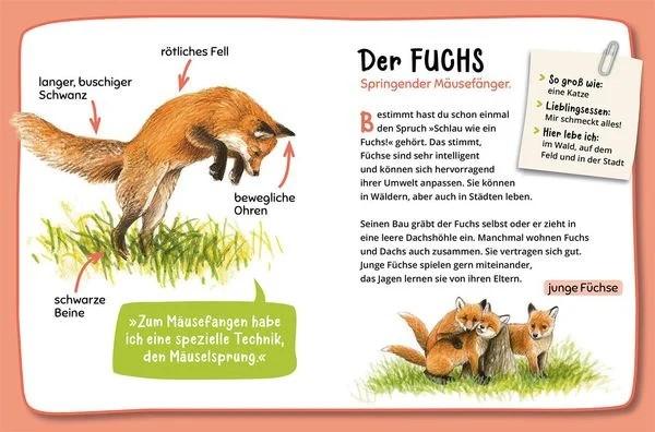 naturbuch fuer kinder