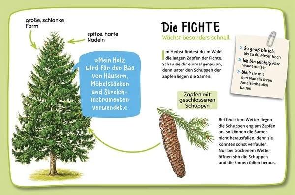 natur mit kindern erleben kosmos buch