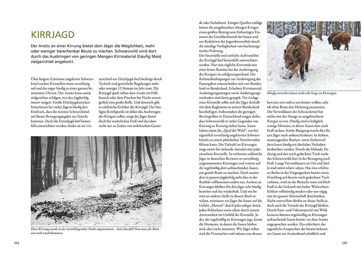 nachtjagd auf sauen schalenwild buch