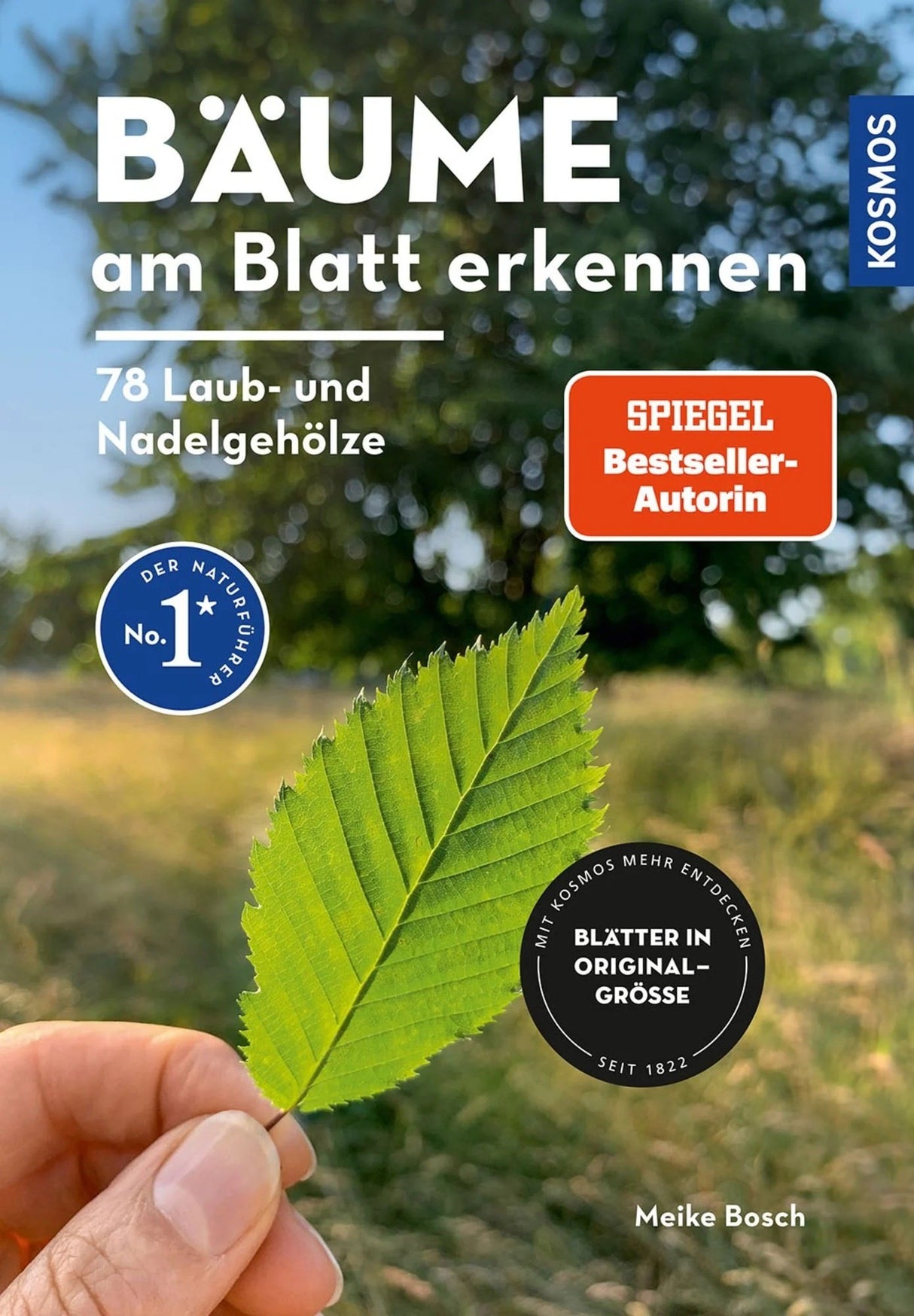 baeume am blatt erkennen kosmos natur