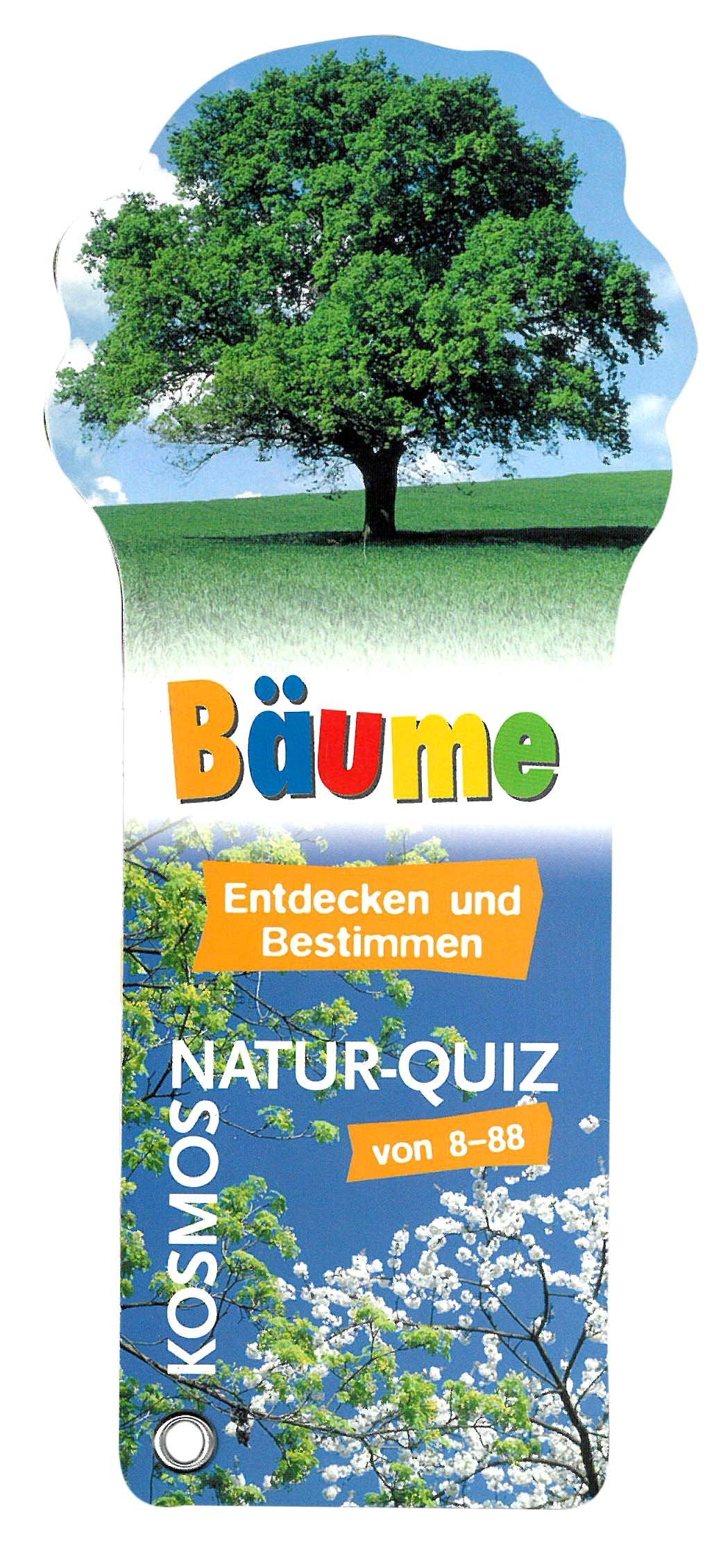 Baeume Natur Quizfaecher