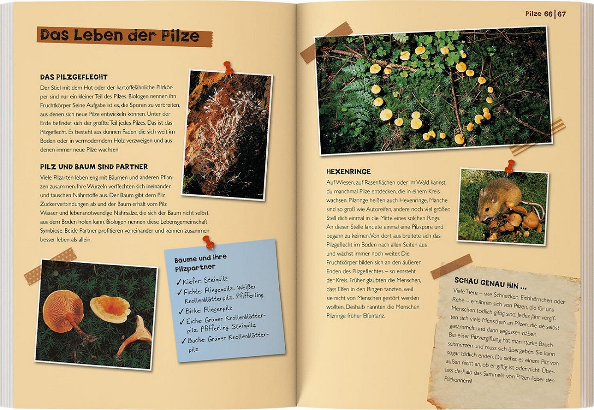 Mein Kosmos Buch Natur Innenansicht