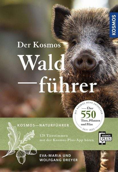 Der Kosmos Waldfuehrer, Dreyer
