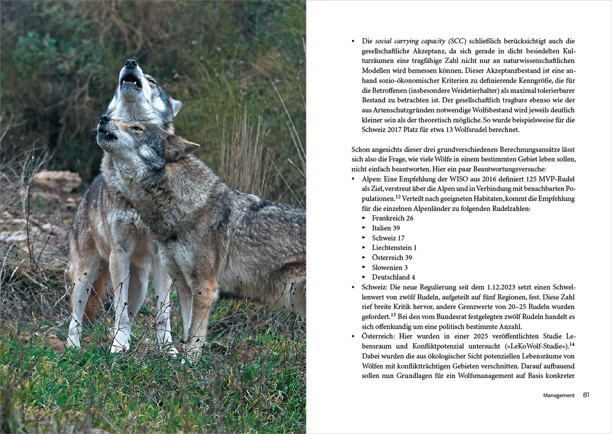 Leben mit dem Wolf - Innenansicht 2