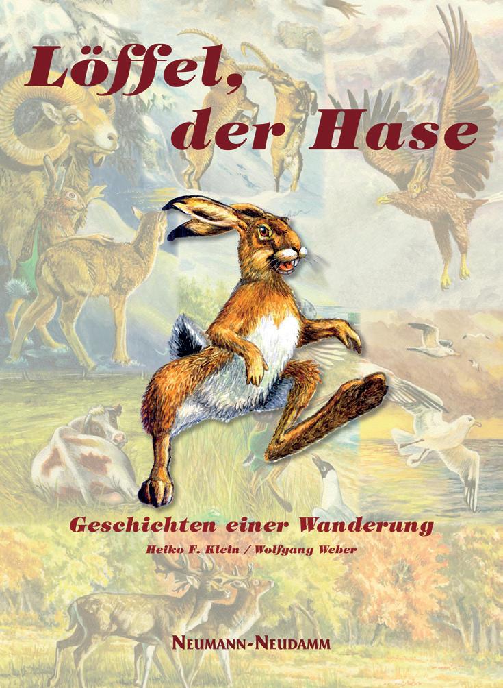 Loeffel der Hase Kinderbuch ab 5 Jahren