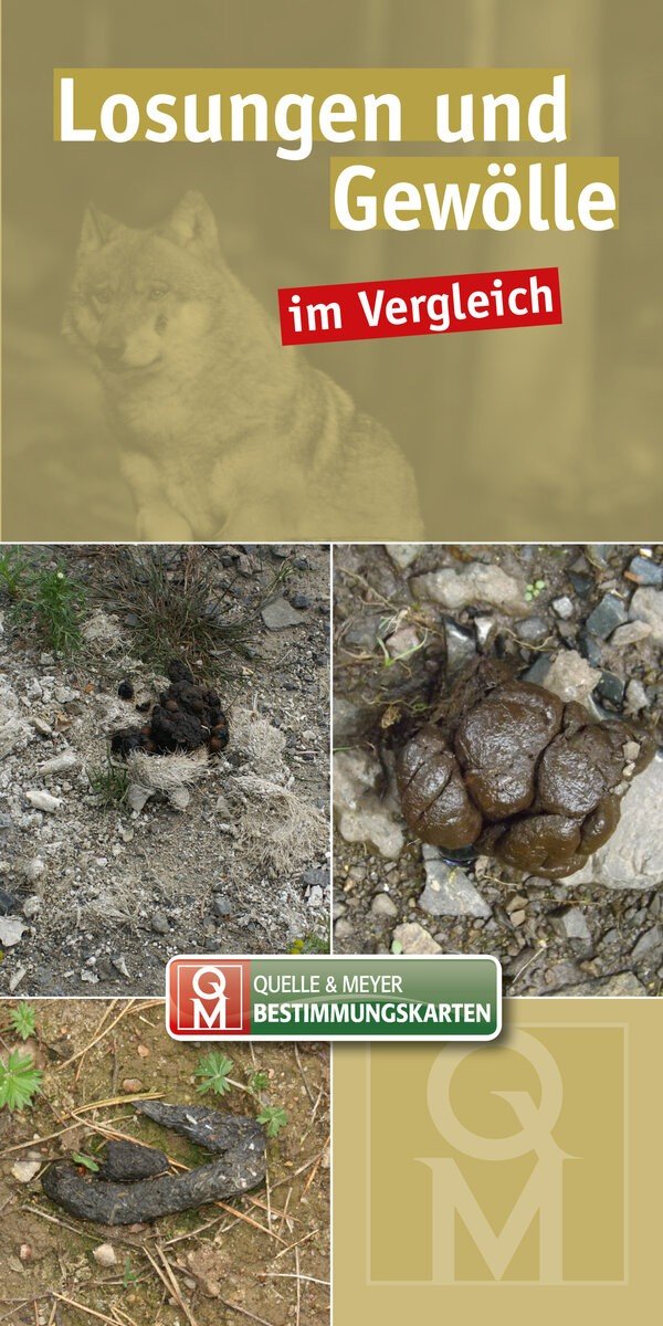 Bestimmungskarte Losungen & Gewoelle