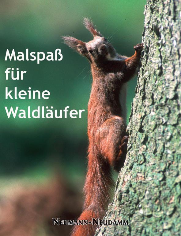 malspass fuer kleine waldlaeufer
