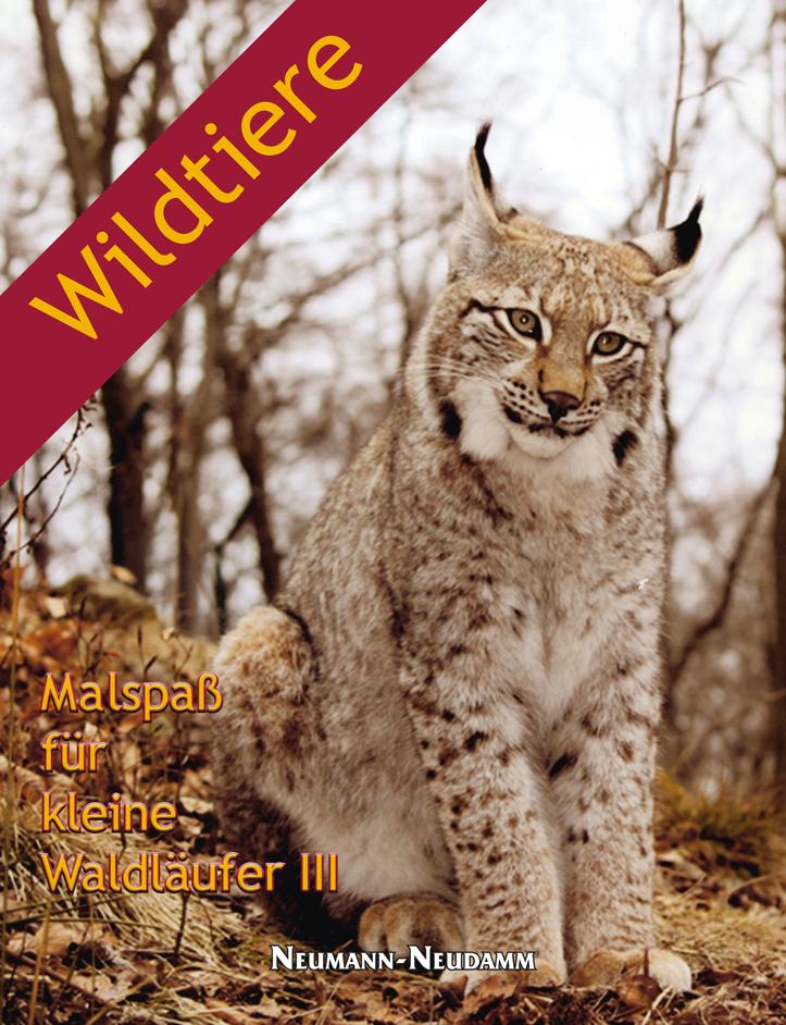 malspass malbuch wildtiere kinderbuch