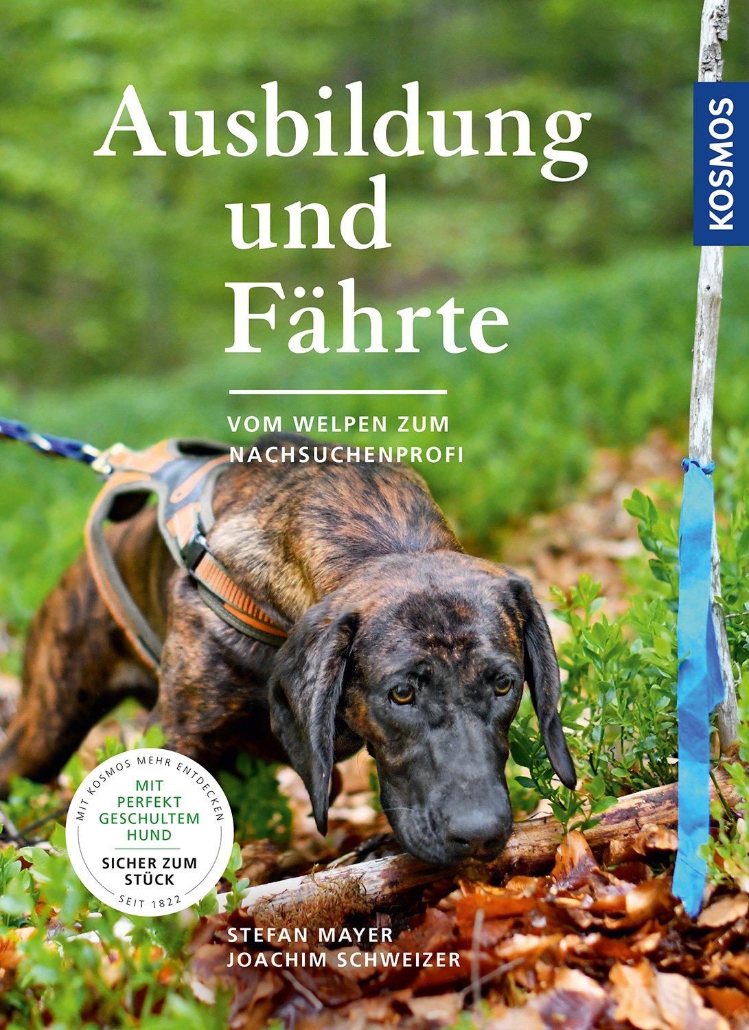 Ausbildung und Faehrte, Hundeausbildung