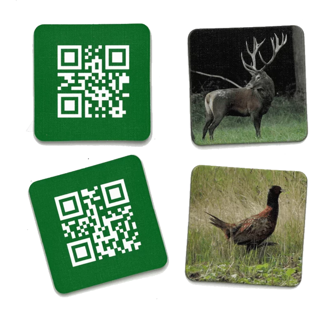 Memory-Spiel "Wildtiere und ihre Stimmen"