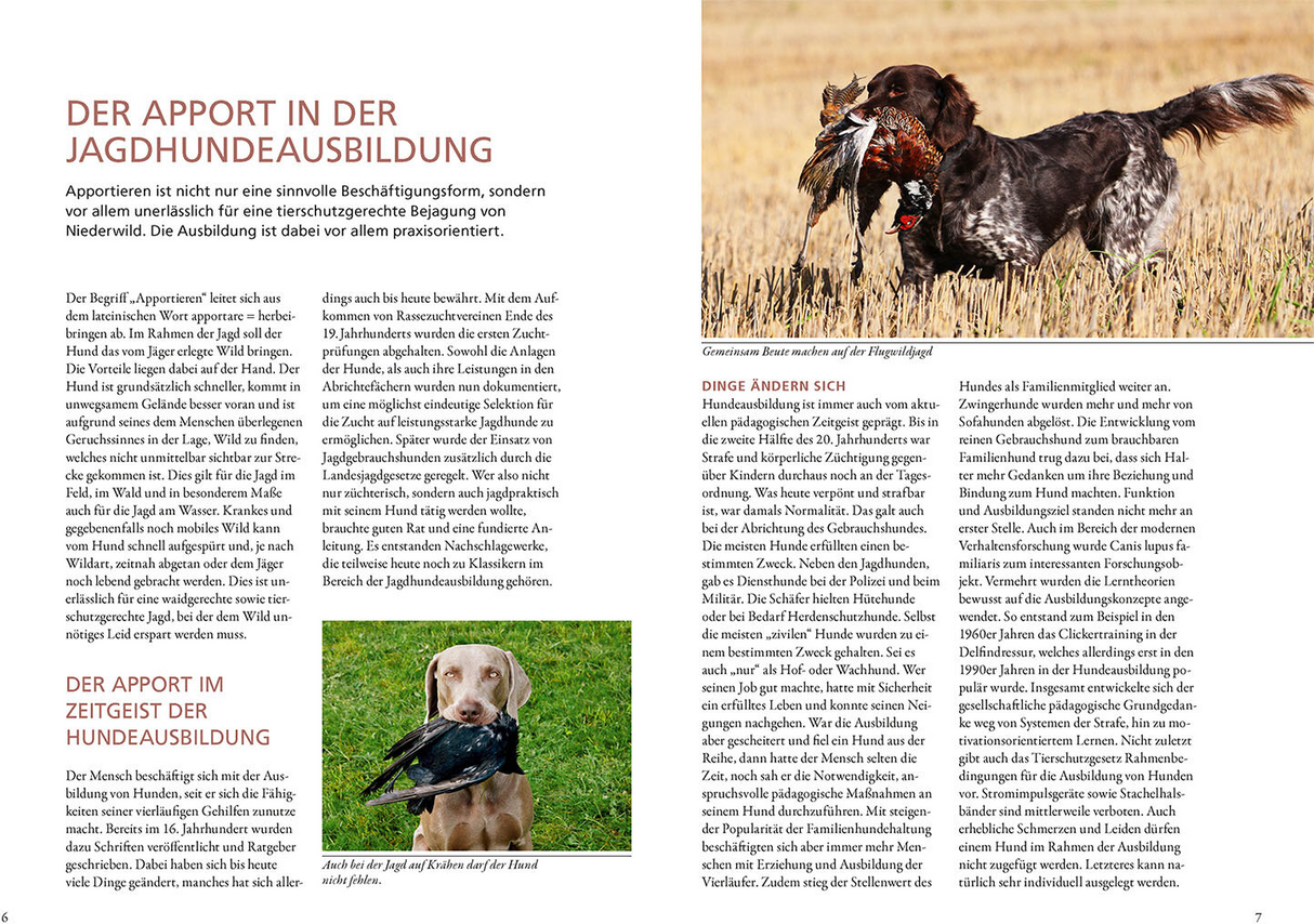 Mit Freude bringen - Jagdhundeausbildung
