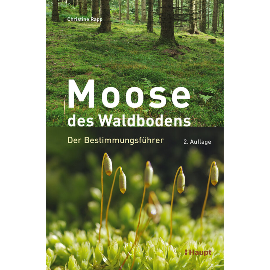 Moose des Waldbodens - Der Bestimmungsführer von Christine Rapp