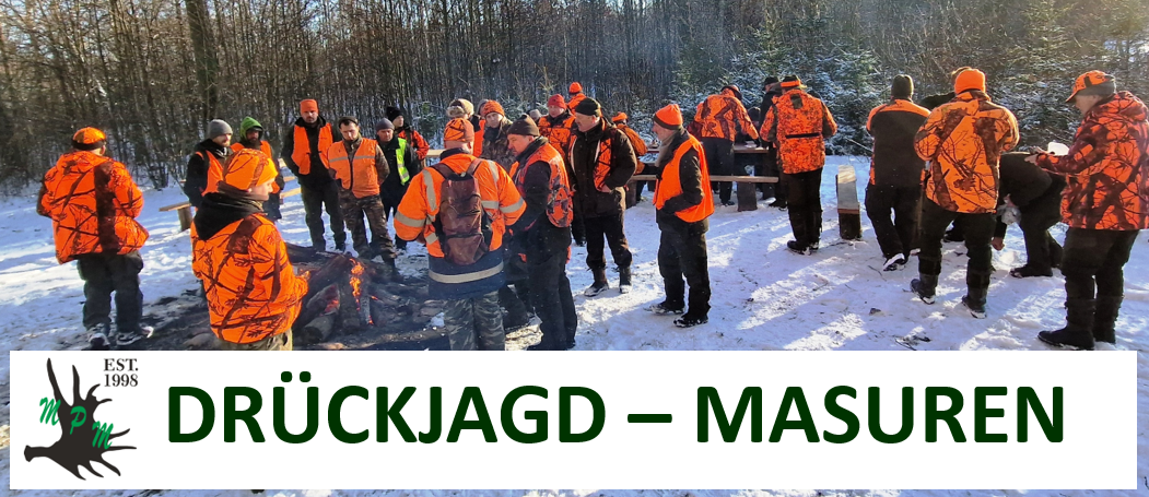 Drückjagd Polen. Pauschal Jagdreisen buchen