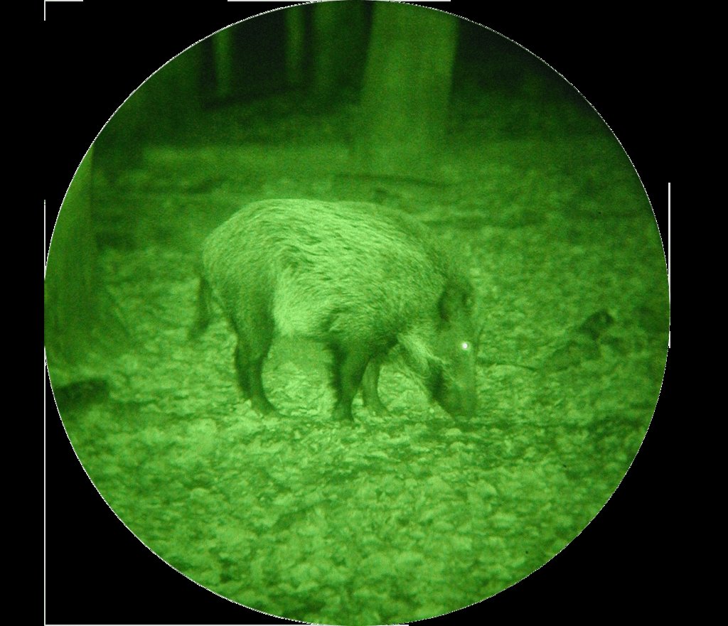 Jahnke DJ-8 NSV 1x56