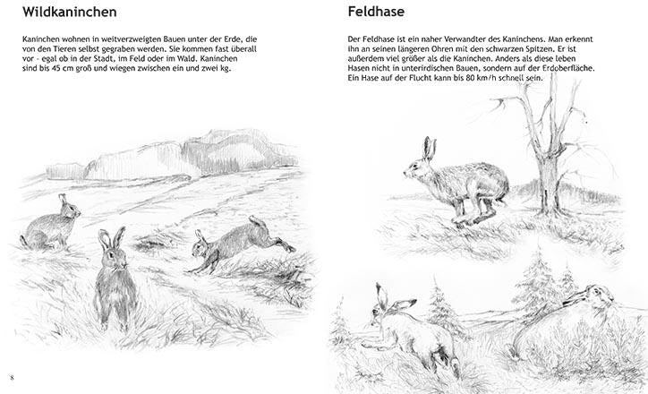 malbuch fuer kinder mit waldtieren