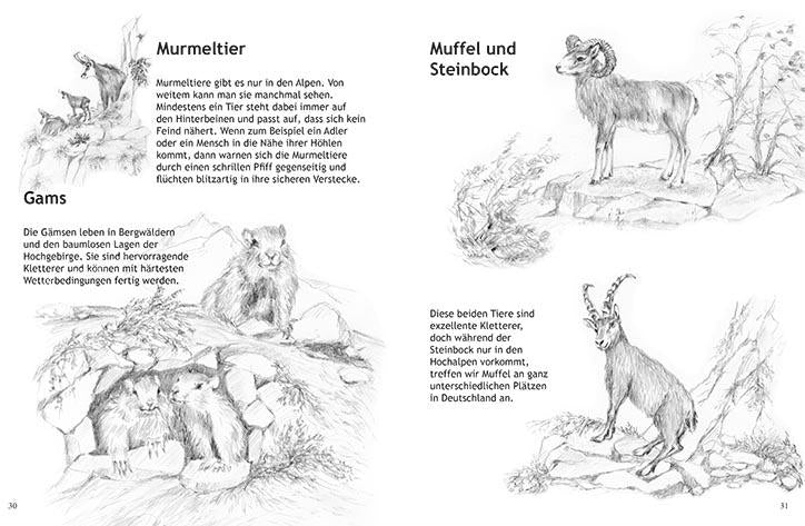 Kindermalbuch mit Waldtieren