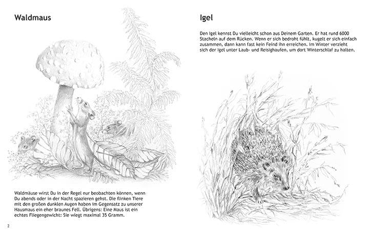 Waldtiere Ausmalen Buch