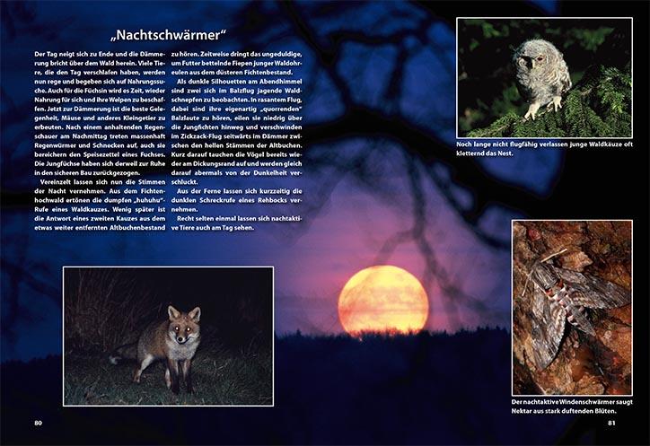 Bildband ueber Fuechse Buch