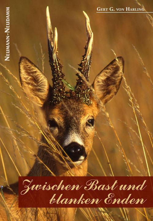 zwischen bast und blanken enden harling