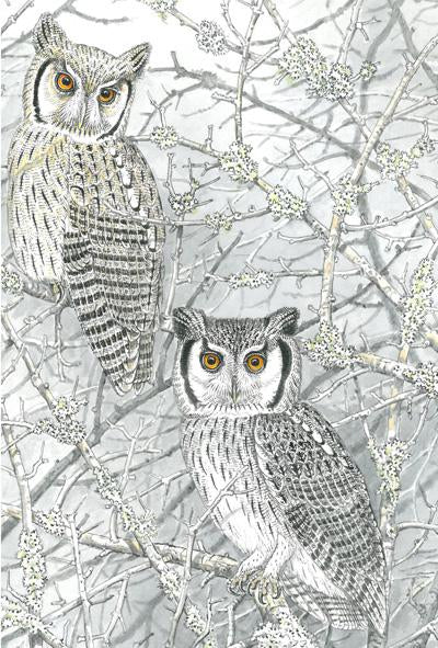 ornithologie eulen buch