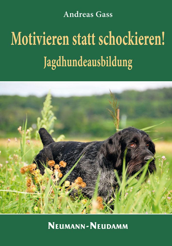 motivieren statt schockieren jagdhunde