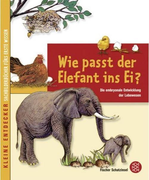wie passt der elefant ins ei kinderbuch