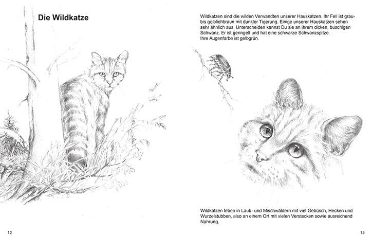 naturbuch fuer kinder