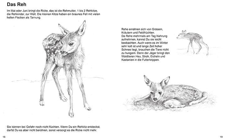 kinder malbuch natur