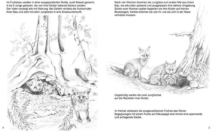 kinder malbuch tiere