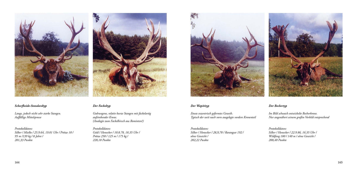 jagdzeitgeschichte der schorfheide