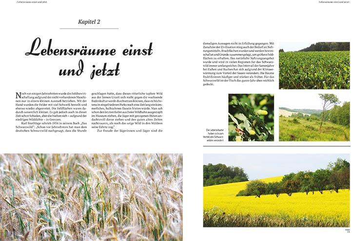 wildschweinjagd buch