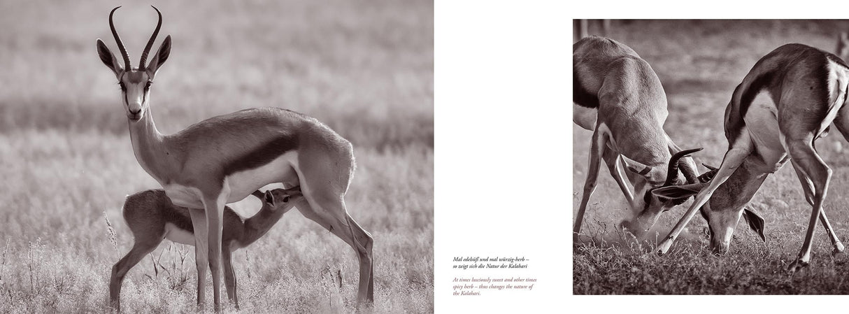 bildband afrika jagd