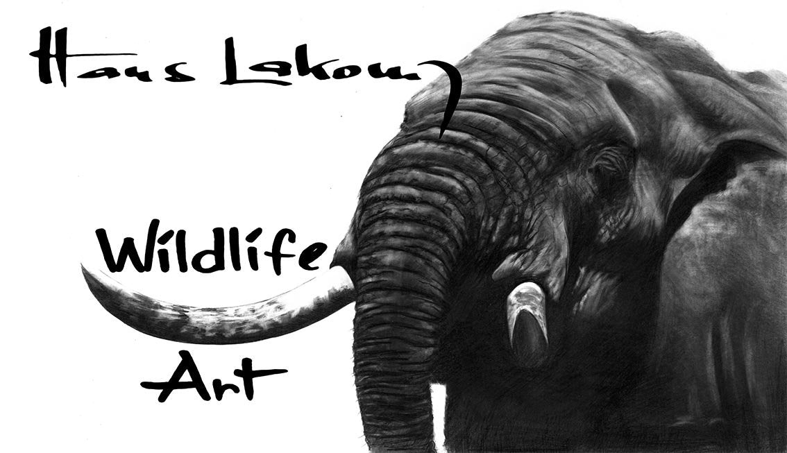 lakomy ewiger kalender wildlife art