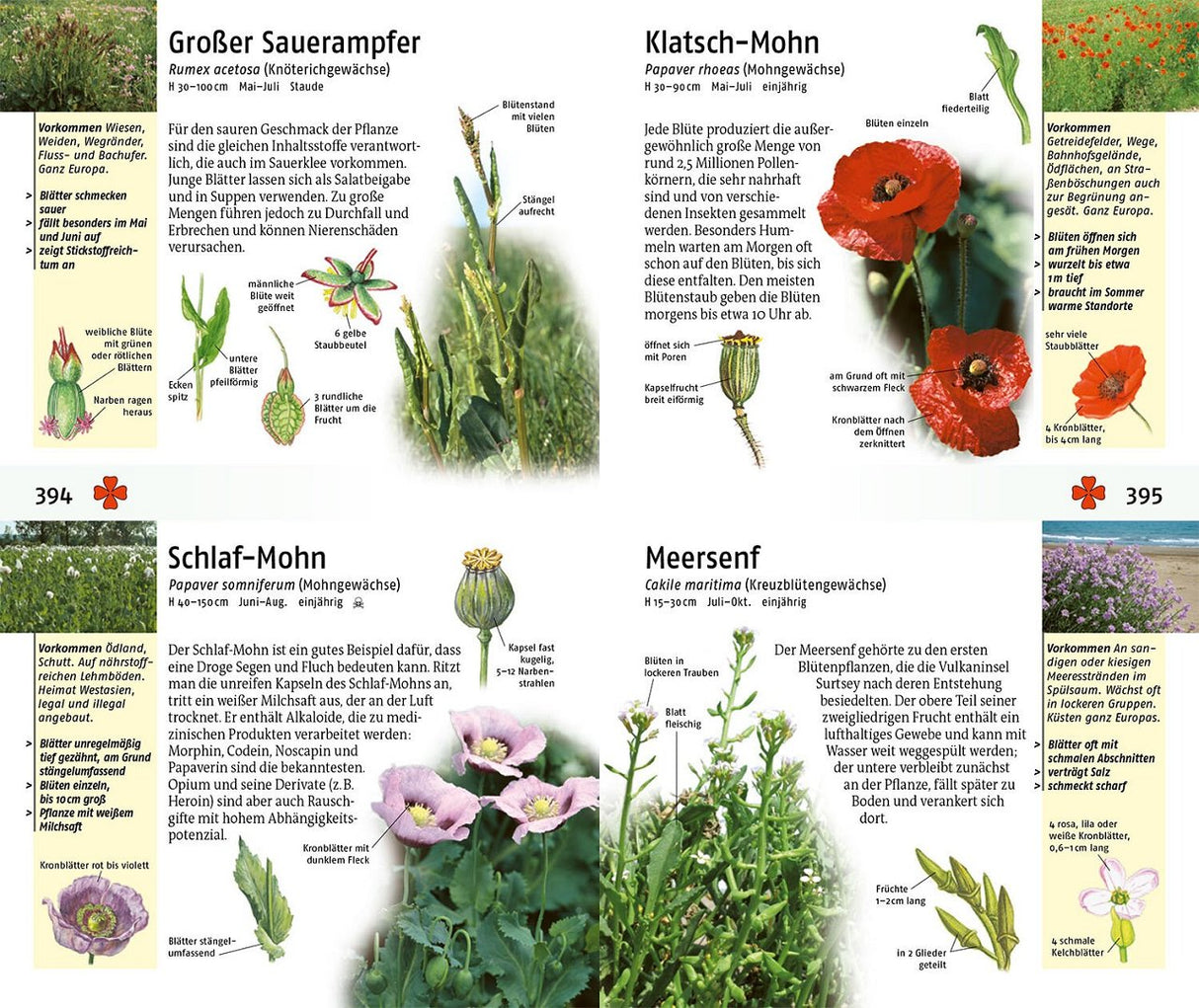 Pflanzen bestimmen mit Bildern