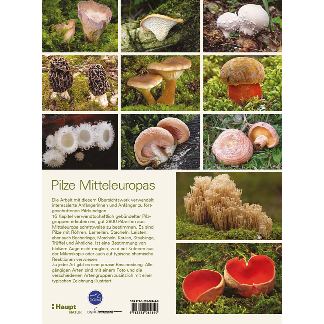Pilze Mitteleuropas - Backcover
