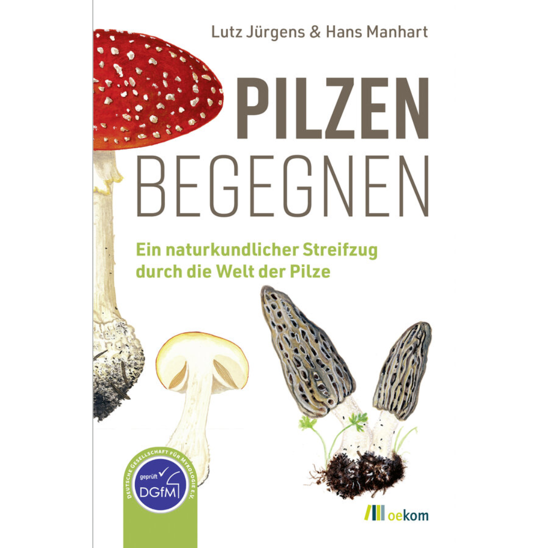 Pilzen begegnen - Ein naturkundlicher Streifzug durch die Welt der Pilze.