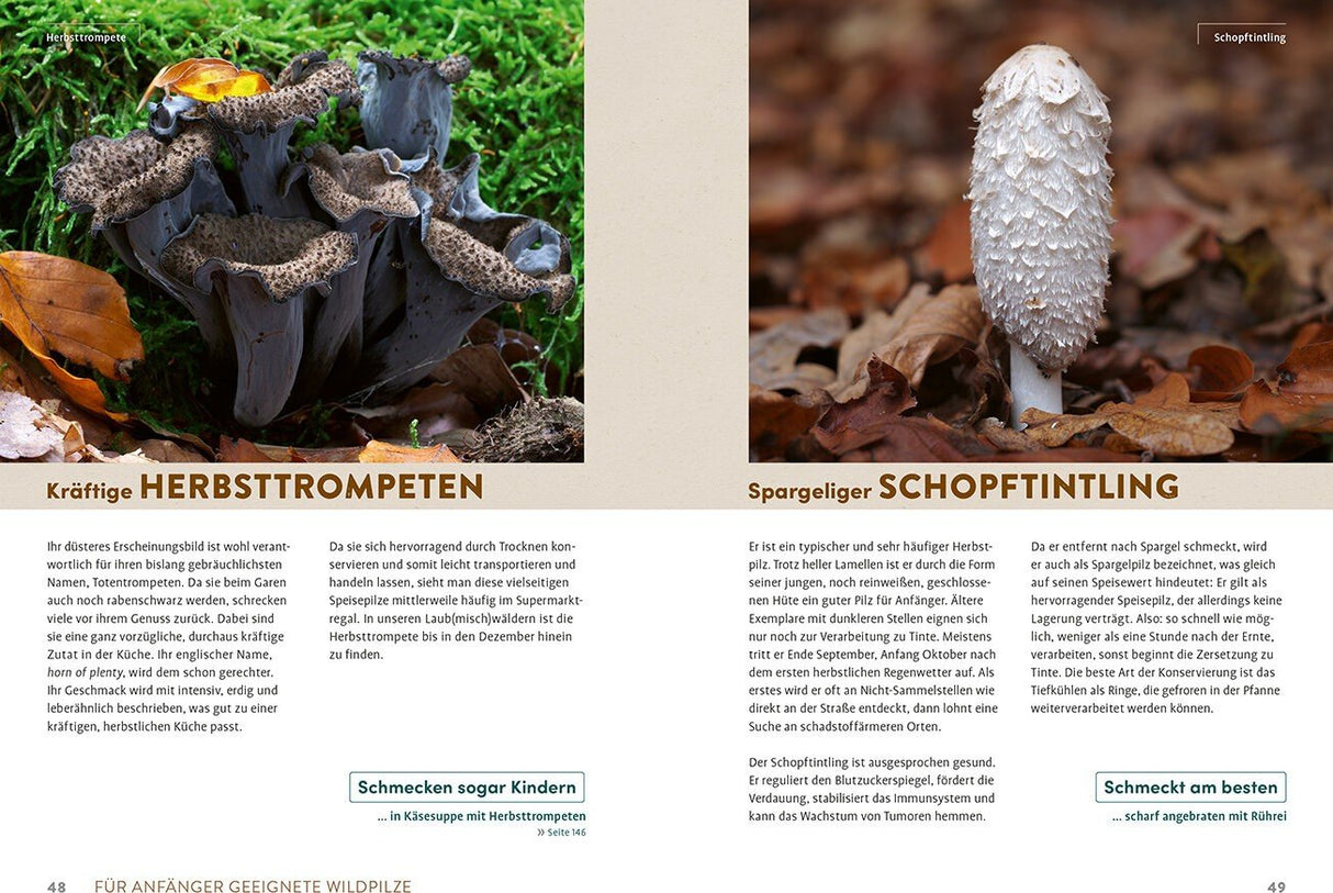 Pilzliebe Innenansicht