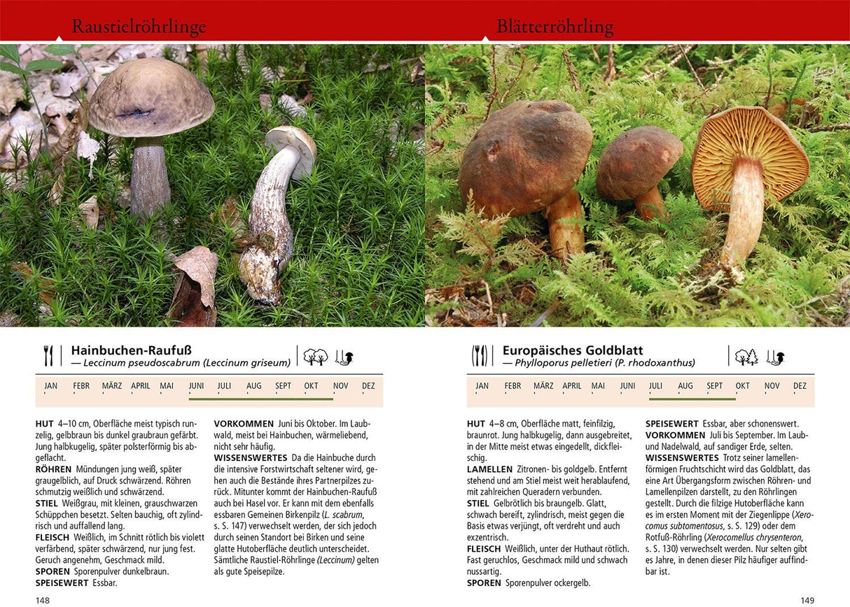 Pilzuebersicht Kosmos Buch