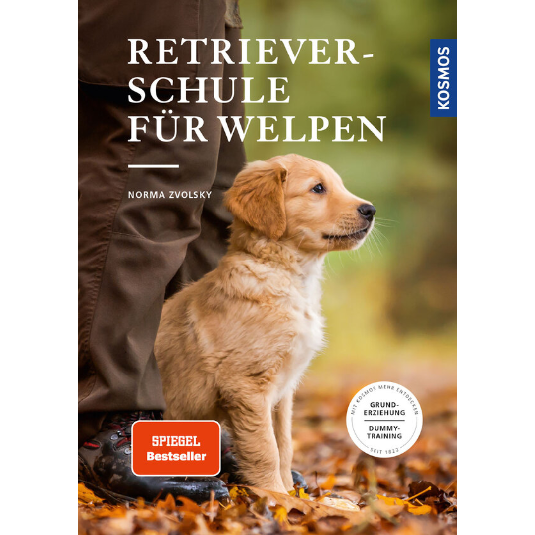Retrieverschule für Welpen - Grunderziehung, Dummy-Training