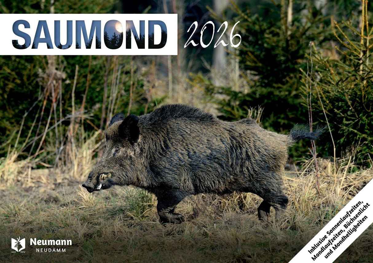 Saumond Wandkalender 2026