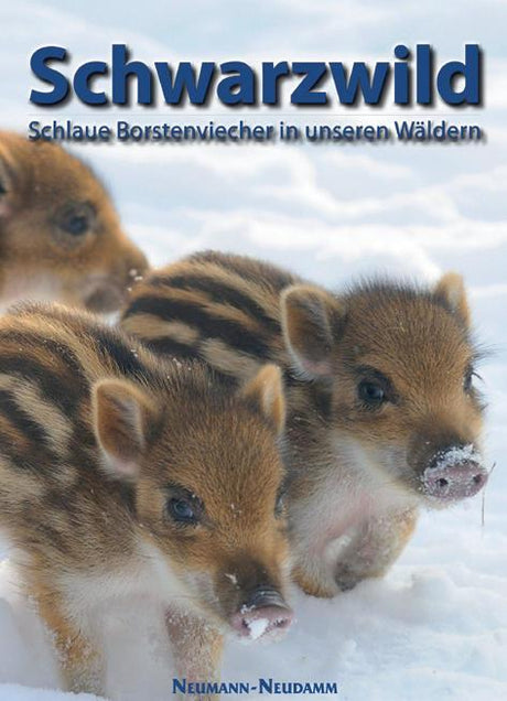 schwarzwild schlaue borstenviecher