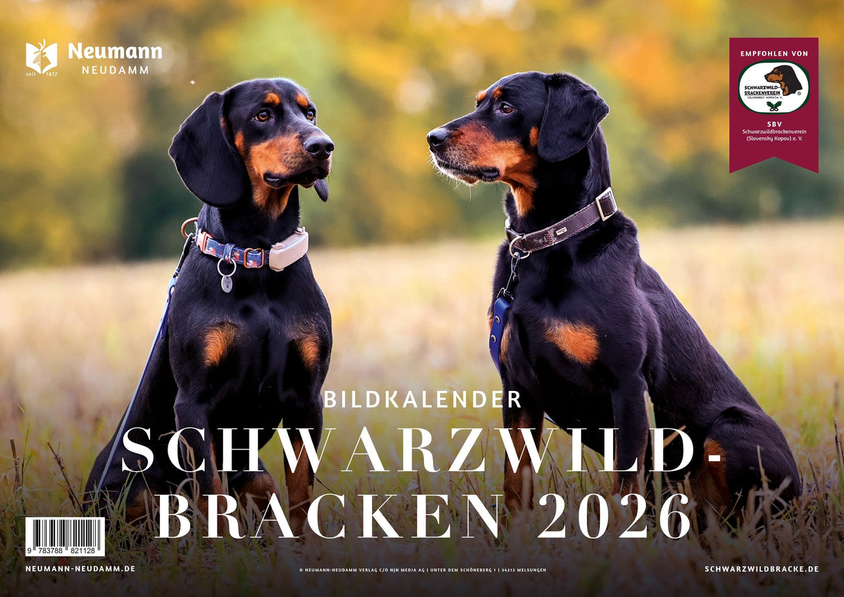 Schwarzwildbracken Kalender 2026
