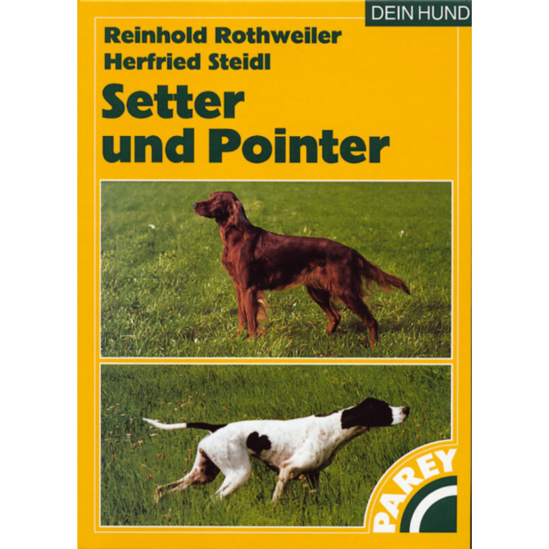 Setter und Pointer