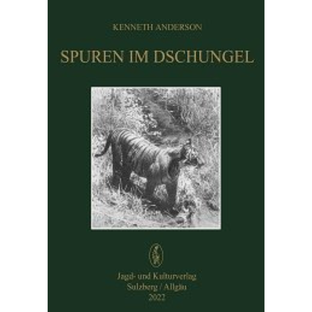 Spuren im Dschungel