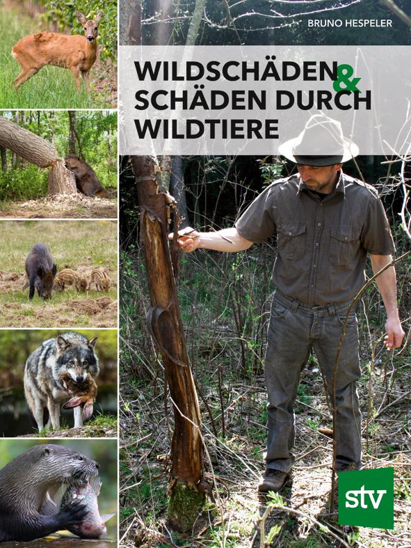 wildschaeden & schaeden durch wildtiere