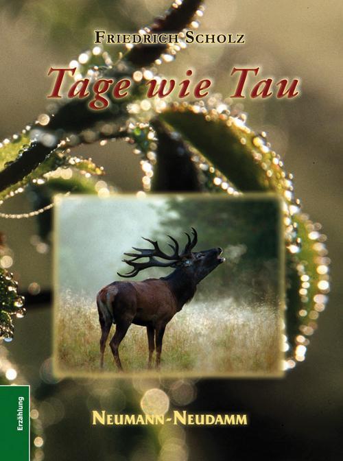 Tage wie Tau - Jagderzaehlungen