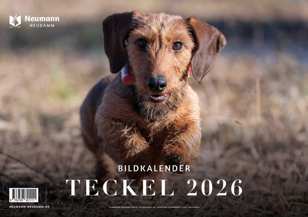 Kalender Teckel 2026