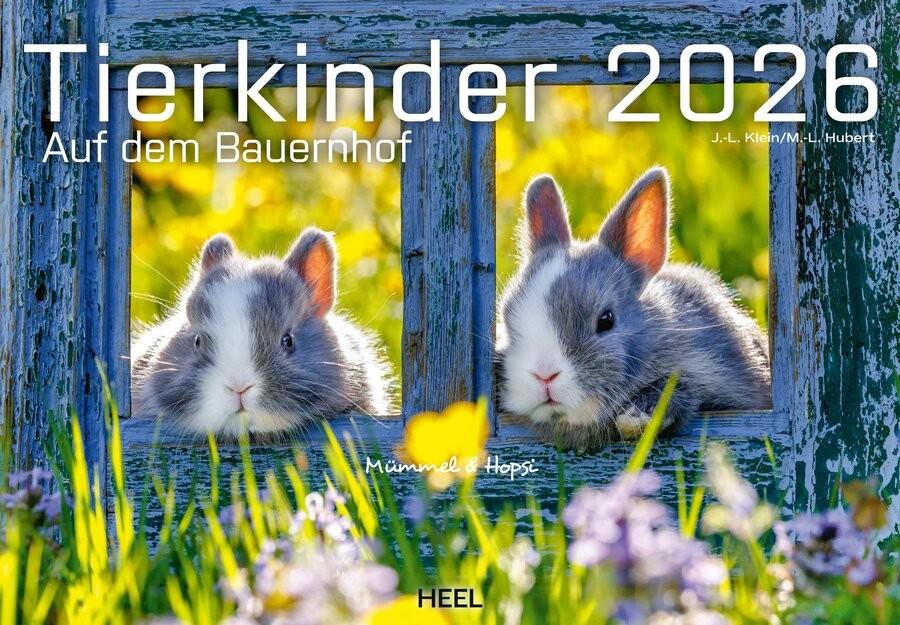 tierkinder kalender heel verlag 2026