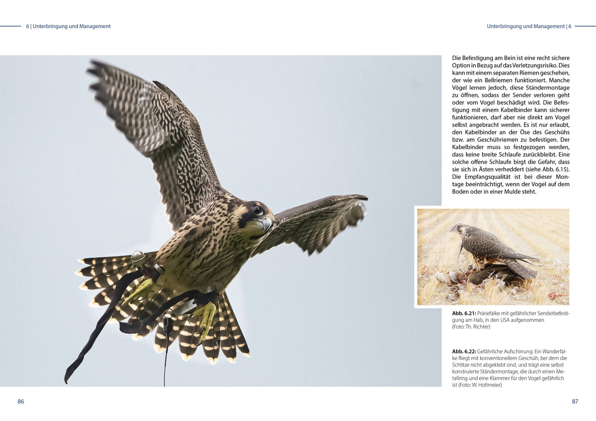 Tierschutz fuer Greifvoegel Buch