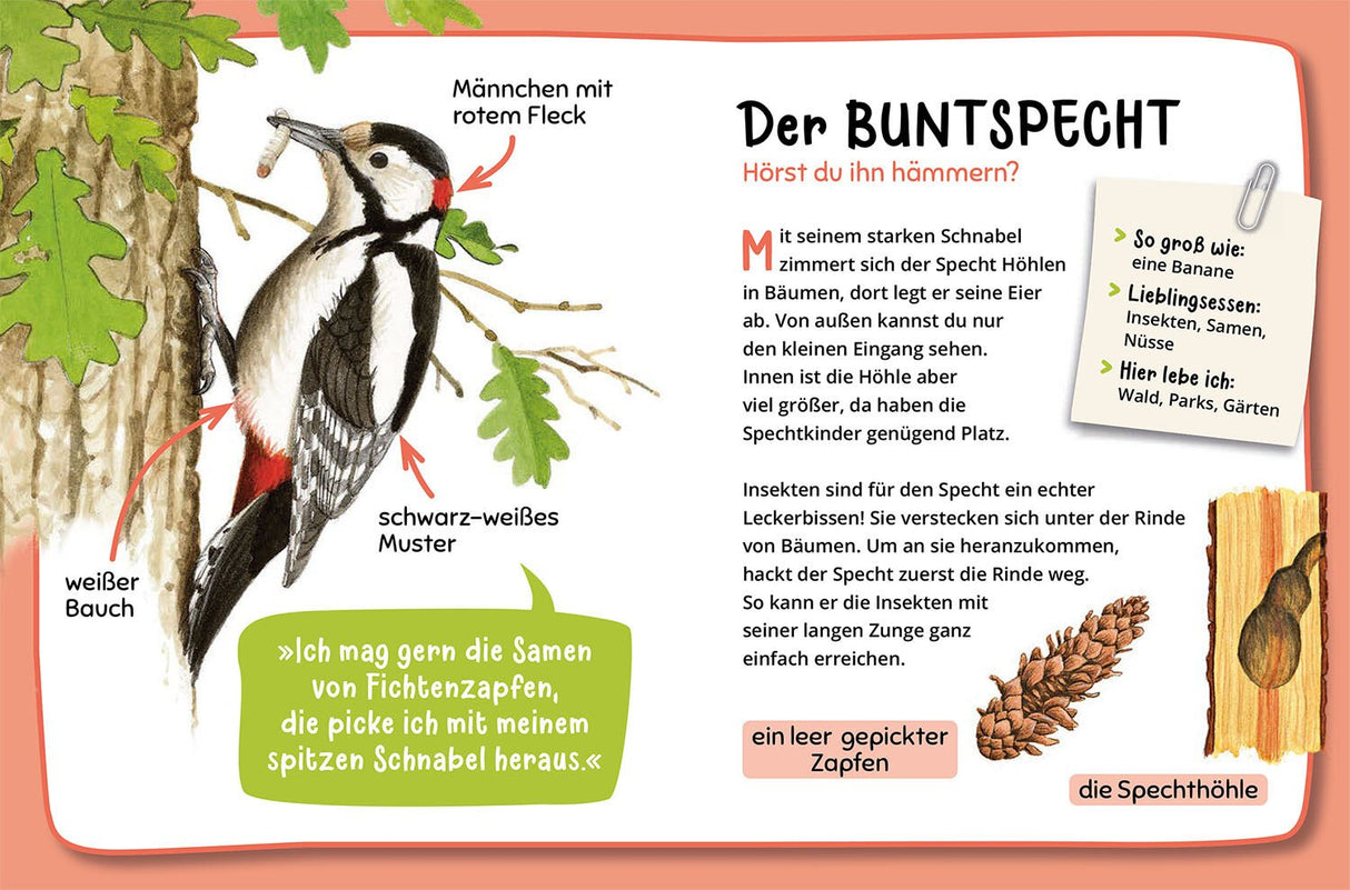 tierspuren bestimmen natuerfuehrer